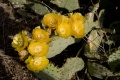 Bilder_USA_2009 003.jpg